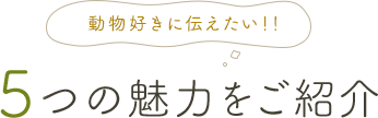 動物好きに伝えたい！！ 5つの魅力をご紹介