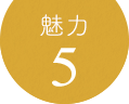 魅力5