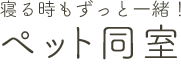 寝る時もずっと一緒！ペット同室