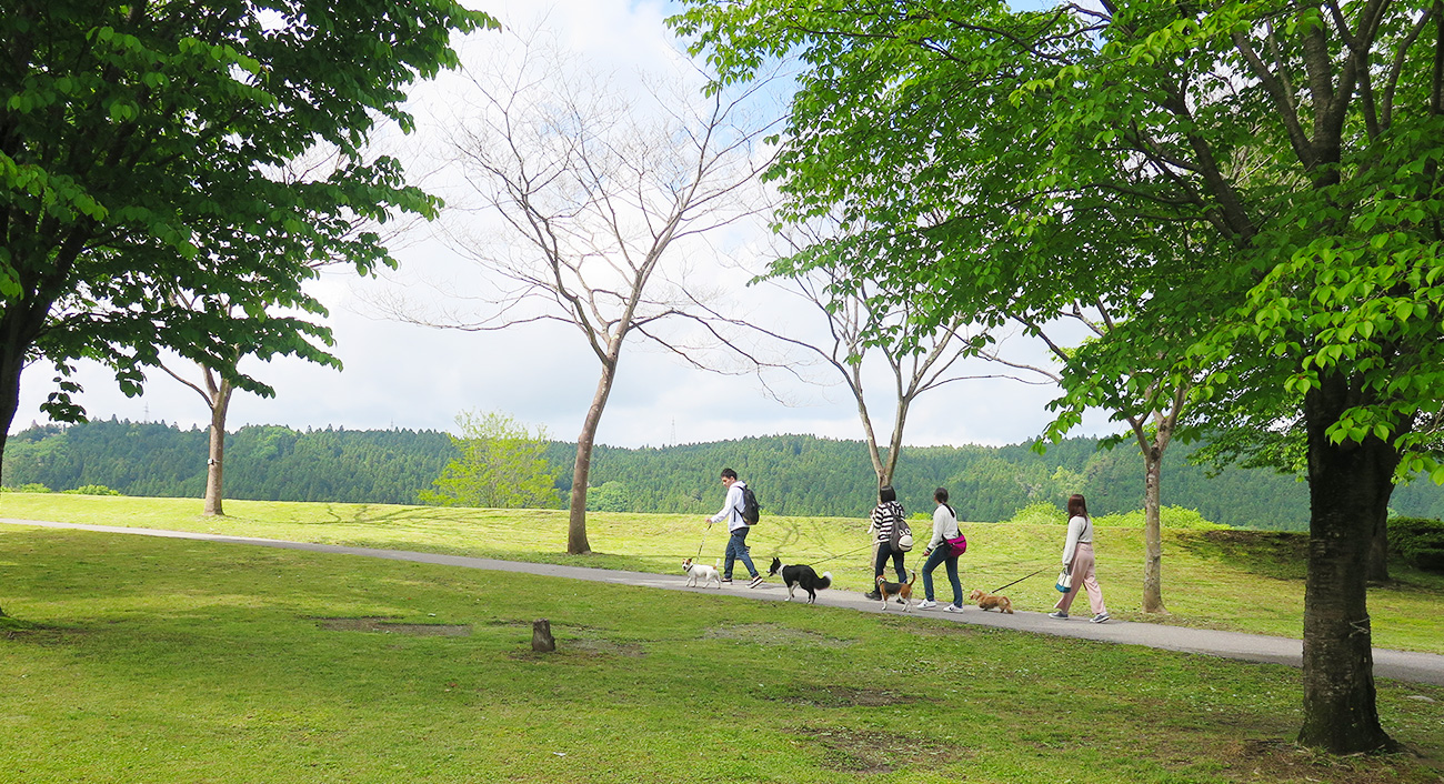 きぬ川国際ホテル