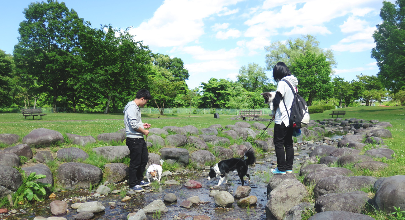 きぬ川国際ホテル