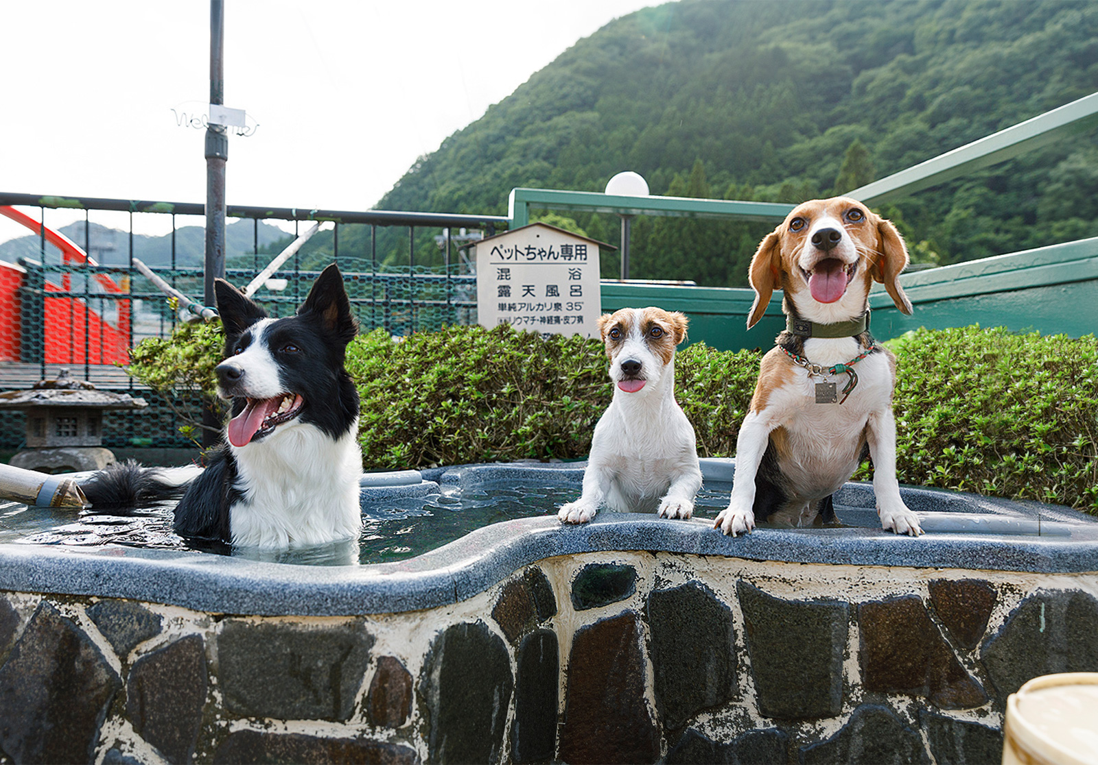 きぬ川国際ホテル