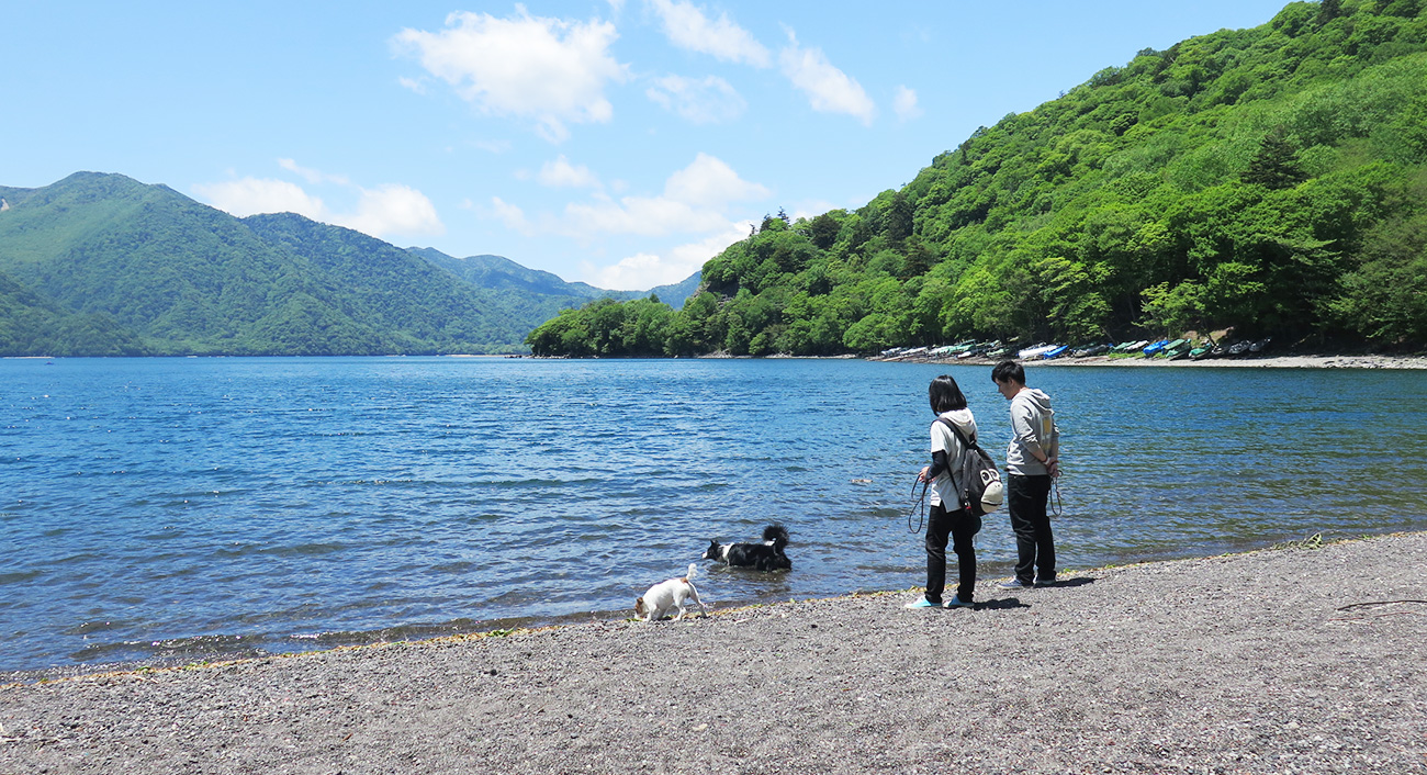 きぬ川国際ホテル