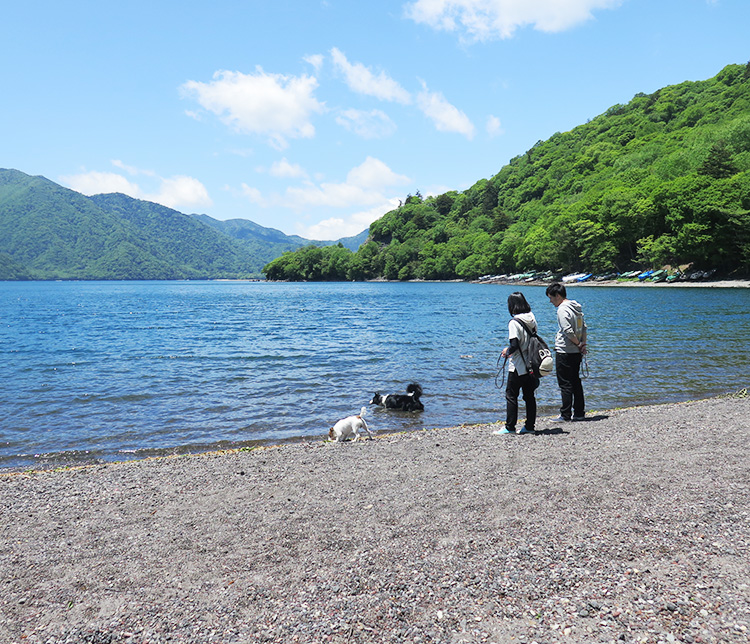 ペット同室宿泊パイオニアの宿 きぬ川国際ホテル