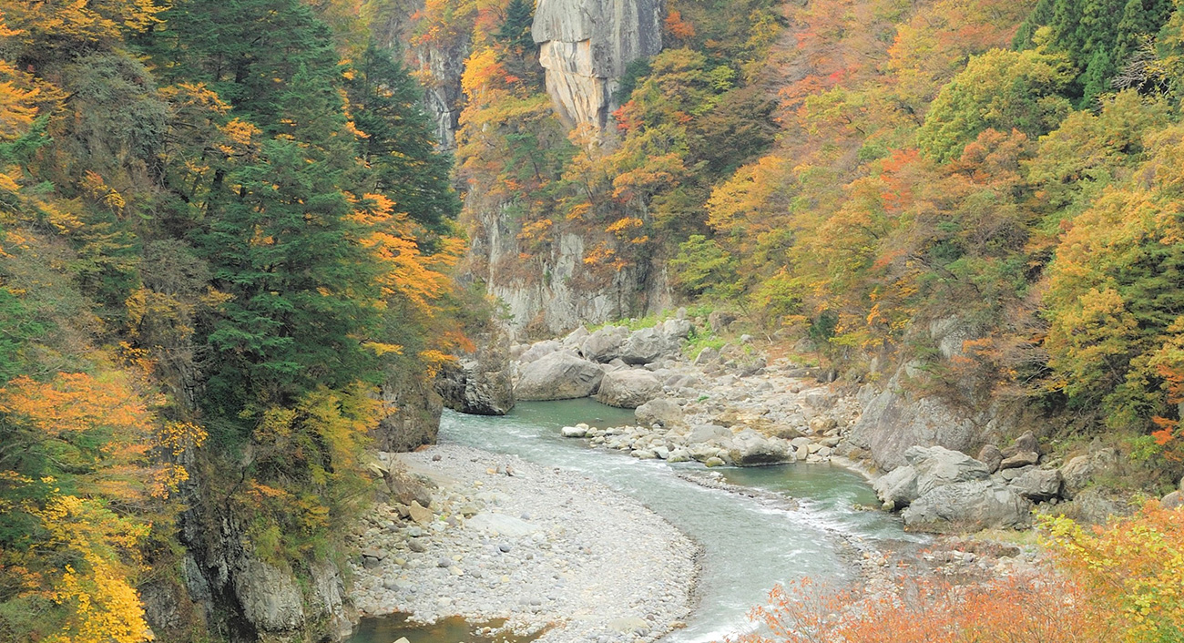きぬ川国際ホテル