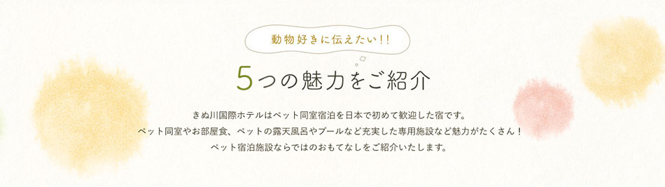 動物好きに伝えたい！！6つの魅力をご紹介