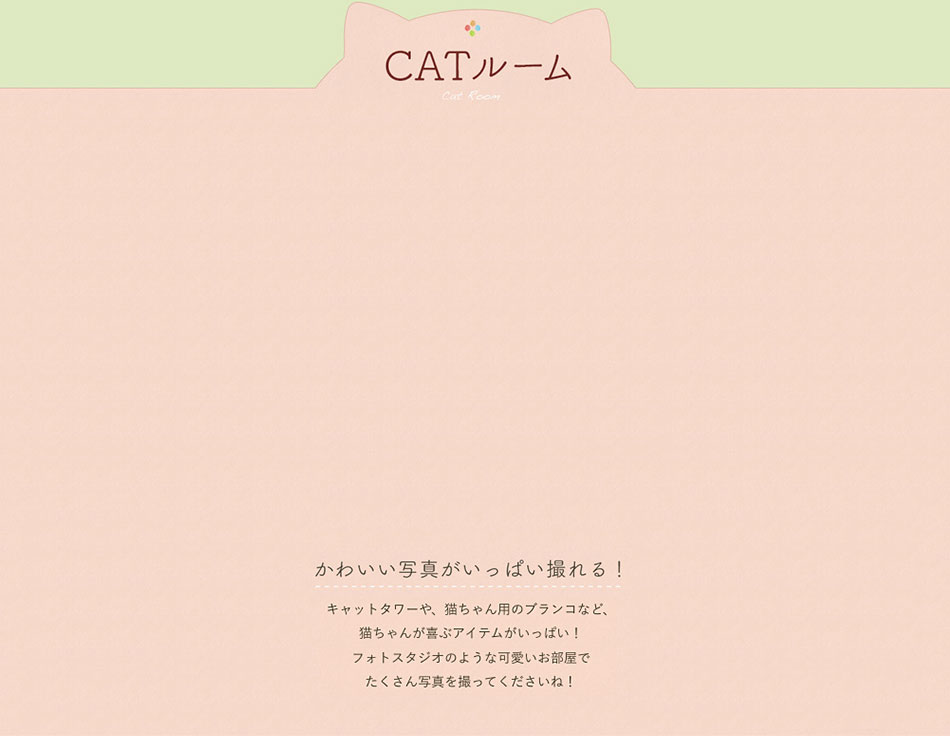 CATルーム