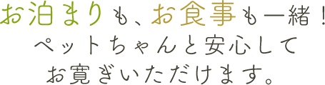 お泊まりも、お食事も一緒！ ペットちゃんと安心してお寛ぎいただけます。