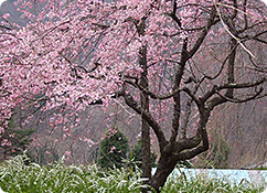 鬼怒川公園