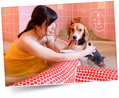 貸切風呂DOG