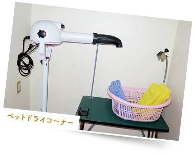 ベットドライコーナー
