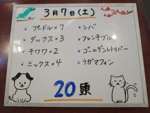 本日お泊りのペットちゃん