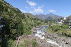 新緑の季節が始まります