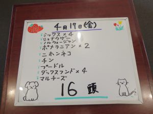 本日お泊りのペットちゃん　4/17