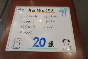 本日お泊りのペットちゃん　5/16