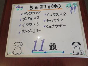本日お泊りのペットちゃん