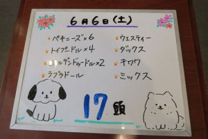 本日お泊りのペットちゃん