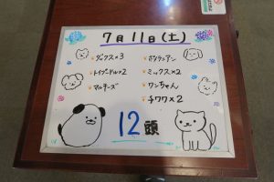 本日お泊りのペットちゃん