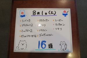 本日お泊りのペットちゃん　8/1