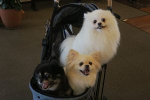 みんな仲良し3人組！