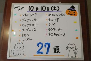 本日お泊りのペットちゃん10/10