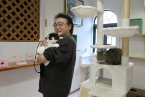 ネコちゃんも楽しいよ！